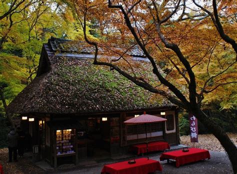 Manage your video collection and share your thoughts. 水谷茶屋と紅葉 ＠奈良公園 : たんぶーらんの戯言