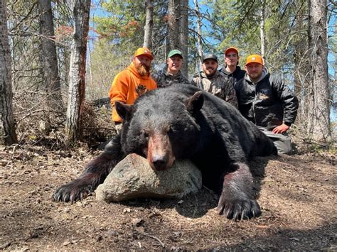 2022 Spring Black Bear Season A Huge Success By Agassiz Outfitters