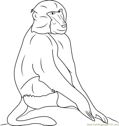 Black Baboons Coloring Page - Free Baboon Coloring Pages : ColoringPages101.com