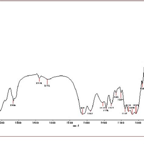 FTIR Spectrum Of Pure Chitin Download Scientific Diagram