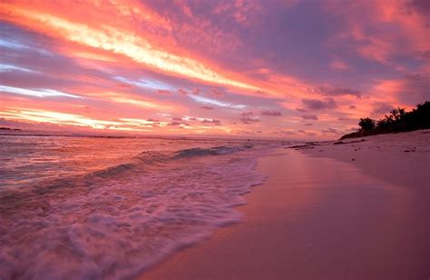 Purple Pink Beach Sunset Flickr Photo Sharing