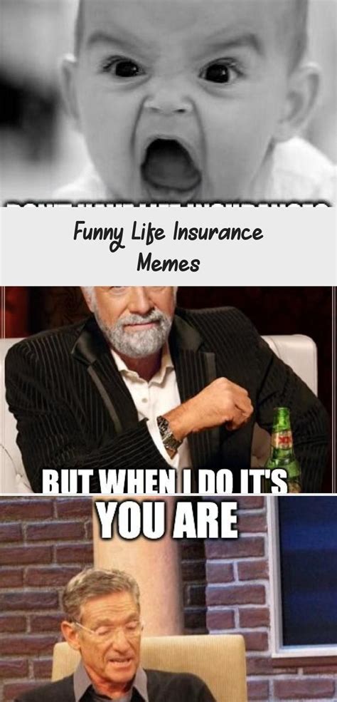 Life Insurance Memes Nocluttercloud