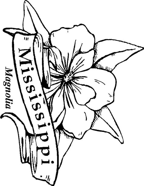 Magnolia tree coloring pages via. 50 State Flowers Coloring Pages for Kids