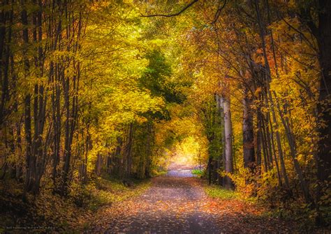 Autumn Pathway Ann Thomstad Flickr