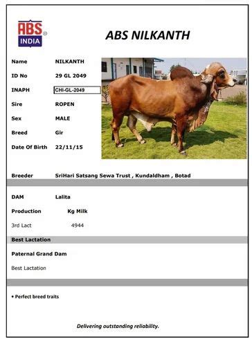 Abs Gir Nilkanth Sexed Frozen Semen For Breeding Bull At Rs 1250unit In Hapur