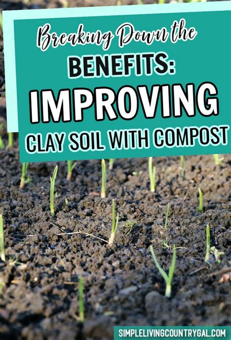 How To Turn Your Clay Soil Into A Thriving Garden In 2023 Clay Soil