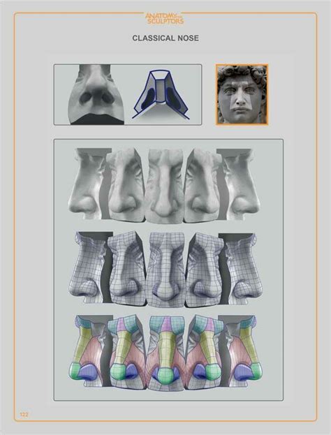 Anatomy For Sculptors Classical Nose