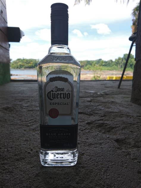 Moreover, tequila shots are totally awesome and make you feel much more rejuvenated then any spa or shopping experience ever could have. Tequila | Drinks, Vodka