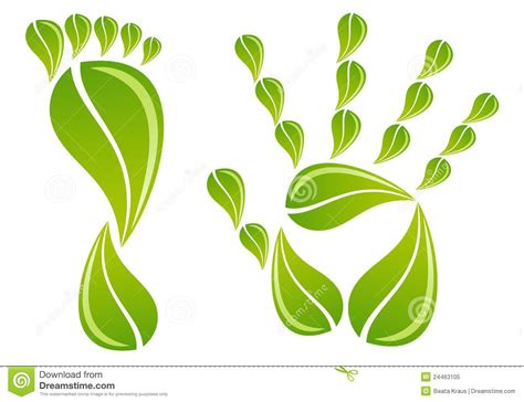 Hand And Foot With Leaves Vector Royalty Free Stock Photo Image