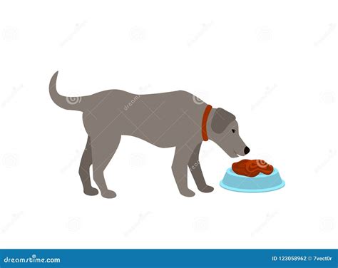 Dog Eating Raw Food Meat Cartoon Isolated Vector Illustration