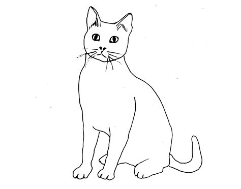 Cat Line Drawing Printable