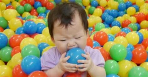 Ball Pits Are Filled With Many Disease Causing Germs According To
