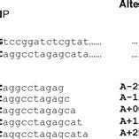 Genotyping Single Nucleotide Polymorphisms SNPs Using High Density