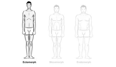 several instructions for training by body type corpus aesthetics