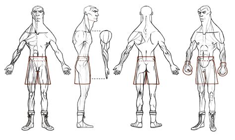 Character Model Sheet Character Design References Figure Drawing