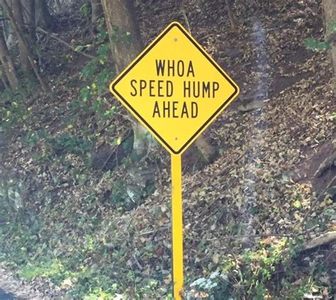 18 Unusual Signs Thatll Make You Say Thats Really Clever