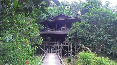 Tour Mahakam River Dayak Culture And Wild Orangutan Kutai Park