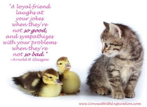 Best friend quotes and best friend wishes. Cat Friendship Quotes. QuotesGram