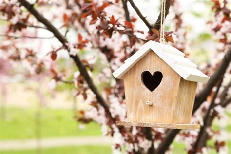 Find out how to attract insects like ladybugs, lacewings, and ground beetles. 5 Ways to Create a Wildlife-Friendly Garden - In the ...