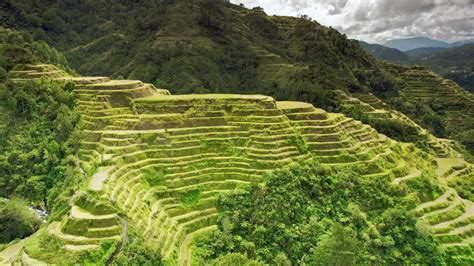 The Rice Terraces Of The Philippines