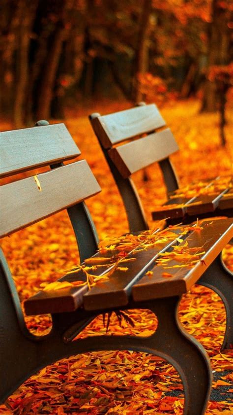 1080x1920 Fall Autumn Leaves On Path Benches Garden Wallpaper In