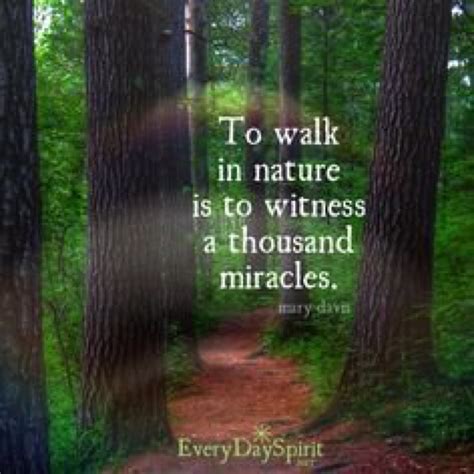 To Walk In Nature Is To Witness A Thousand Miracles Nature Quotes