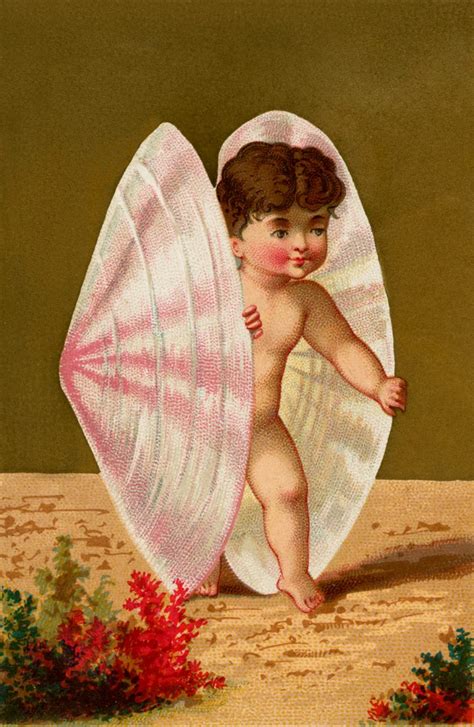 Darling Vintage Seashell Baby Image The Graphics Fairy