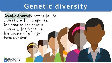 Genetic Diversity Definition And Examples Biology Online Dictionary