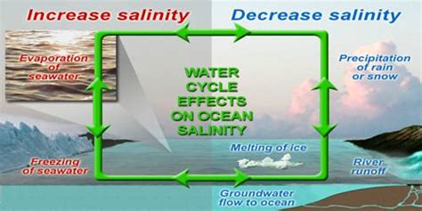 Salinity Of Ocean Water Qs Study