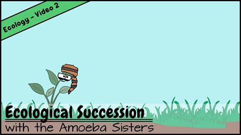 We make youtube videos, gifs, comics, an unlectured series. Ecological Succession: Nature's Great Grit - YouTube