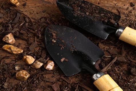 9 Best Shovel For Digging Soil Shovel Reviews