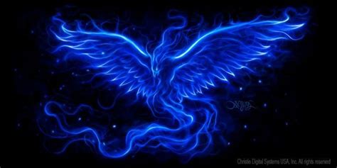 Ummm i think the tucan the wingspan of the blue jay bird can vary slightly. Image result for blue phoenix | Phoenix design, Phoenix ...