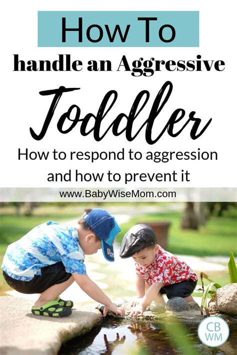 How To Handle An Aggressive Toddler Babywise Mom Aggressive Toddler