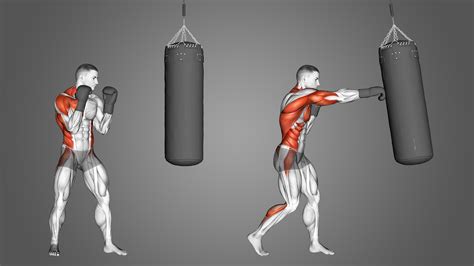 Does Boxing Build Muscle Yes Heres How Inspire Us