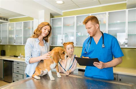 Without it, your pet's new rabies vaccine will expire in. Veterinary Women Doctors Are Using A Stethoscope To Check ...
