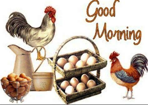 Morning Chicken Jokes Good Morning Good Night Good Morning