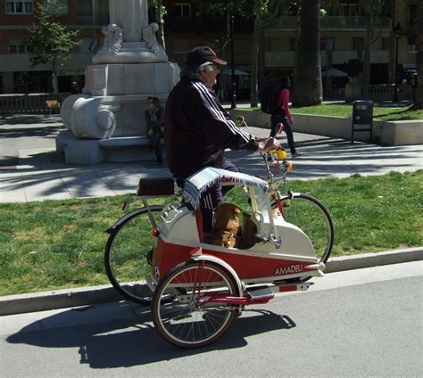 About 1% of these are bicycle rack. bike with sidecar for dogs | Bike with sidecar, Dog bike ...