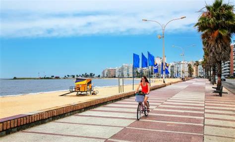 The 10 Best Montevideo Shore Excursions For Uruguay Cruises In South