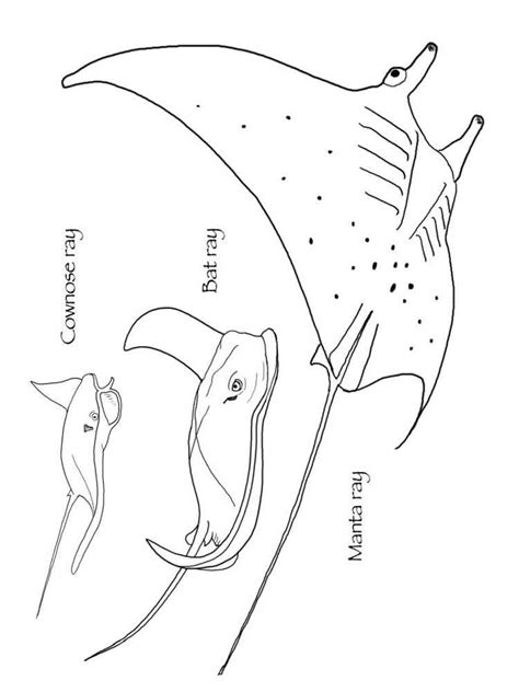 Download Ray coloring pages. Download and print Ray coloring pages.