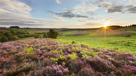 English Countryside Wallpapers Landscape Uk Landscapes Countryside