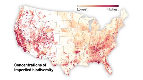 This Map Shows Where Biodiversity Is Most At Risk In America The New