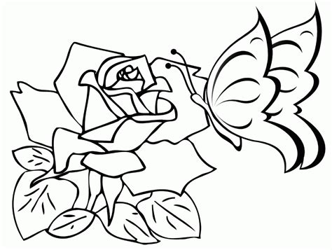 A butterfly coloring page for kids. Butterfly On A Flower Coloring Page - Coloring Home