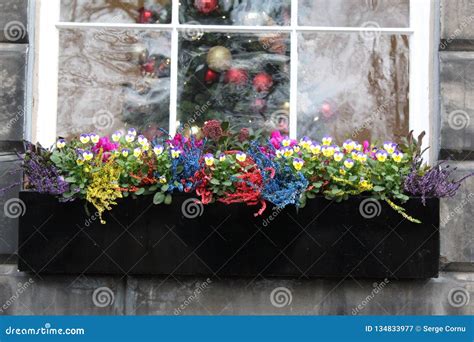 Window Sill Flowers Stock Image Image Of Sill Colourful 134833977