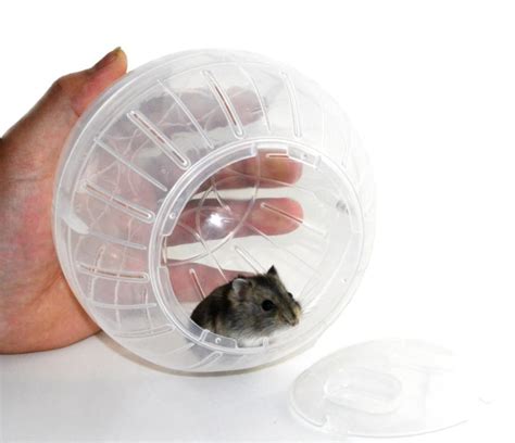 Plastic Pet Rodent Mice Jogging Ball Toy Hamster Gerbil Rat Exercise