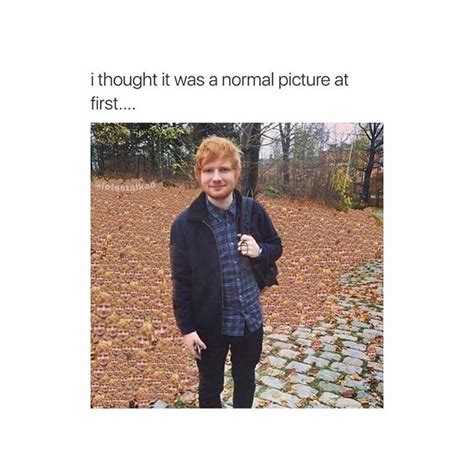 Explore reviews, menus & photos and find the perfect spot for any occasion. Ed Sheeran Leaves Photo / Ed Sheeran - Autumn Leaves (Live ...
