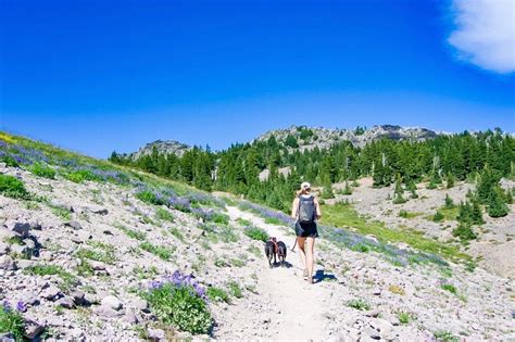 Hiking The Pacific Crest Trail To Russell Lake Oregon — Snows Out West
