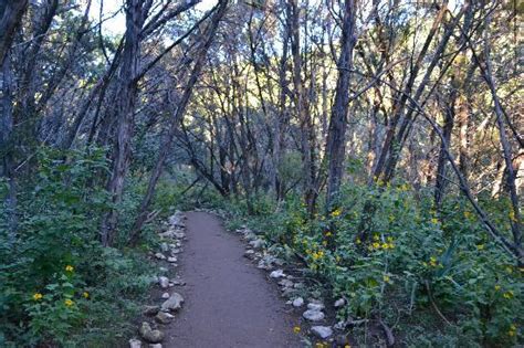 4th of july weekend vehicle park entry passes. Emma Long Metropolitan Park (Austin, TX): Hours, Address ...