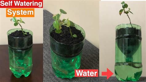 Self Watering System For Plants Using Waste Plastic Bottle Self