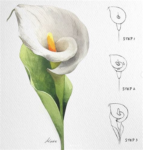 How To Draw Flowers Step By Step For Beginners How To Draw Flowers