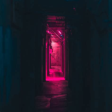 Wallpaper Corridor Neon Dark Pink Light Wallpaper 2780x2780